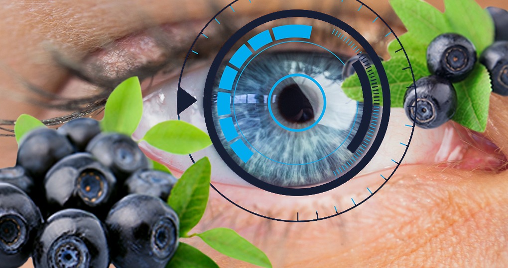 가볍게 시작하는 활동 루틴